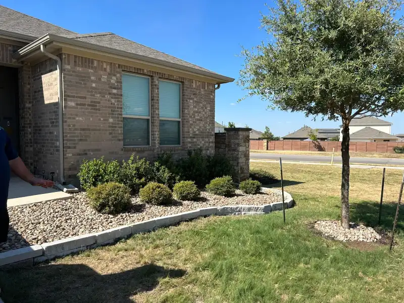 Georgetown Tree Service's other services