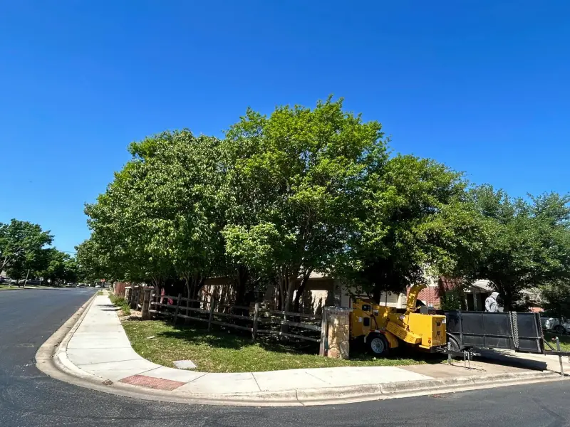 Reliable Tree Company