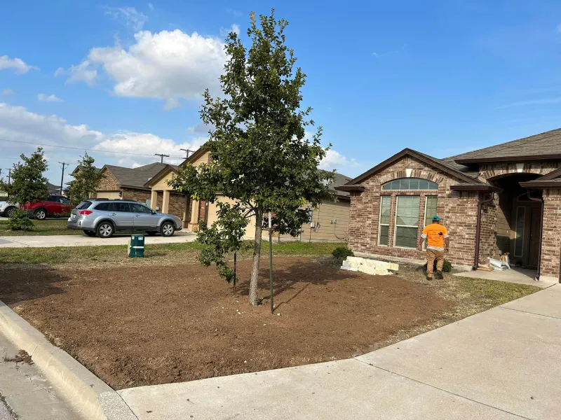 Reliable Tree Maintenance